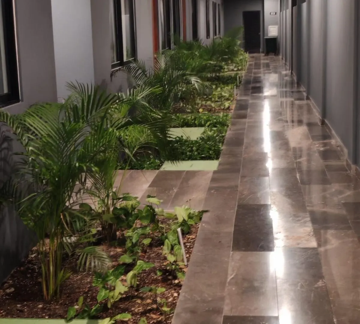 Paramar Black Condominio En Tulum Mexiko